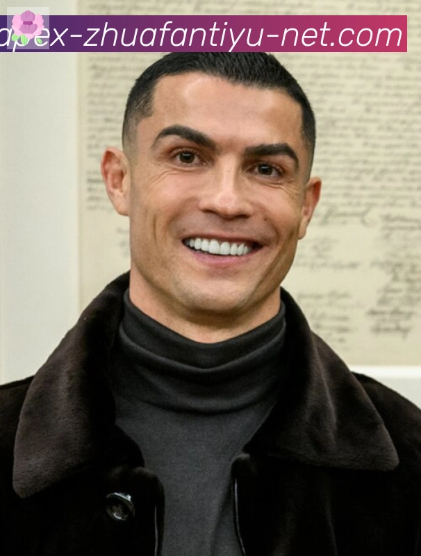 维尼修斯